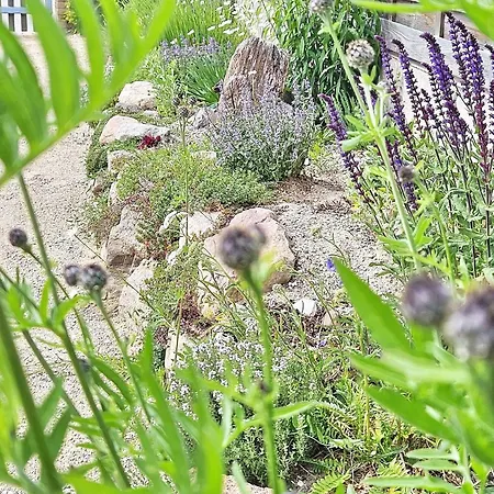 Feriehus Sommerwiese - Abc327